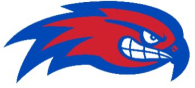 Team sponsor logo