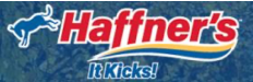Team sponsor logo